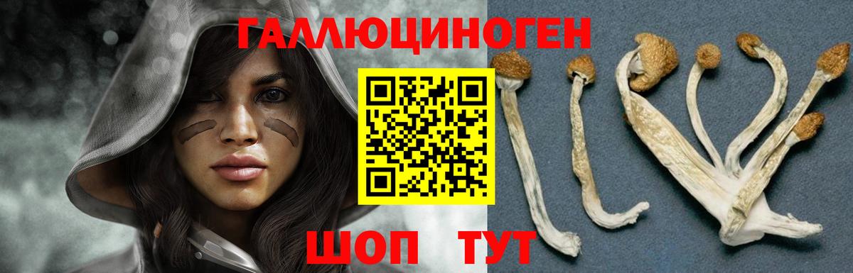 Галлюциногенные грибы мицелий  Вход с VPN  Большой Камень  Псилоцибиновые грибы GOLDEN TEACHER 